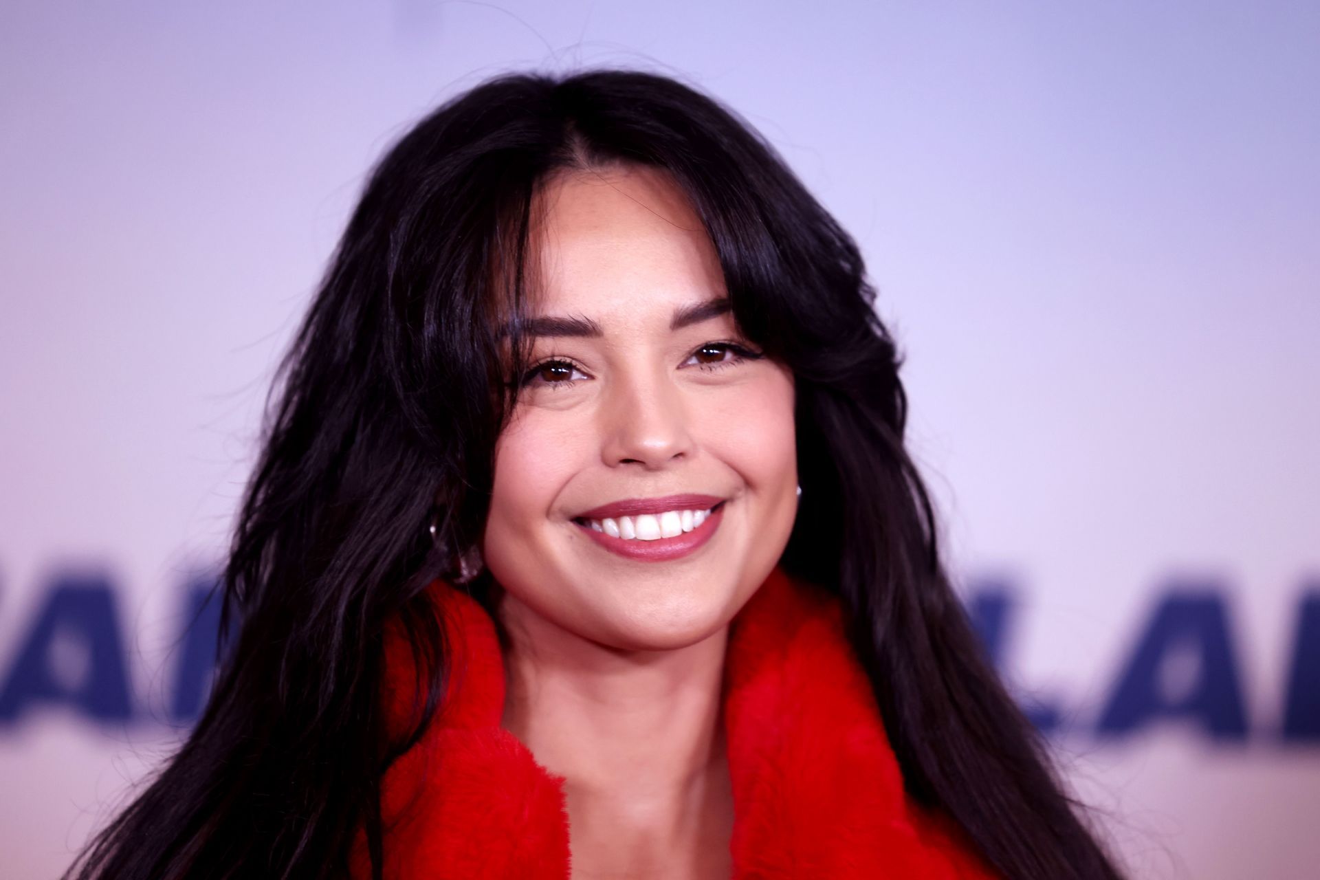 &quot;The Family Plan&quot; World Premiere - Source: Getty