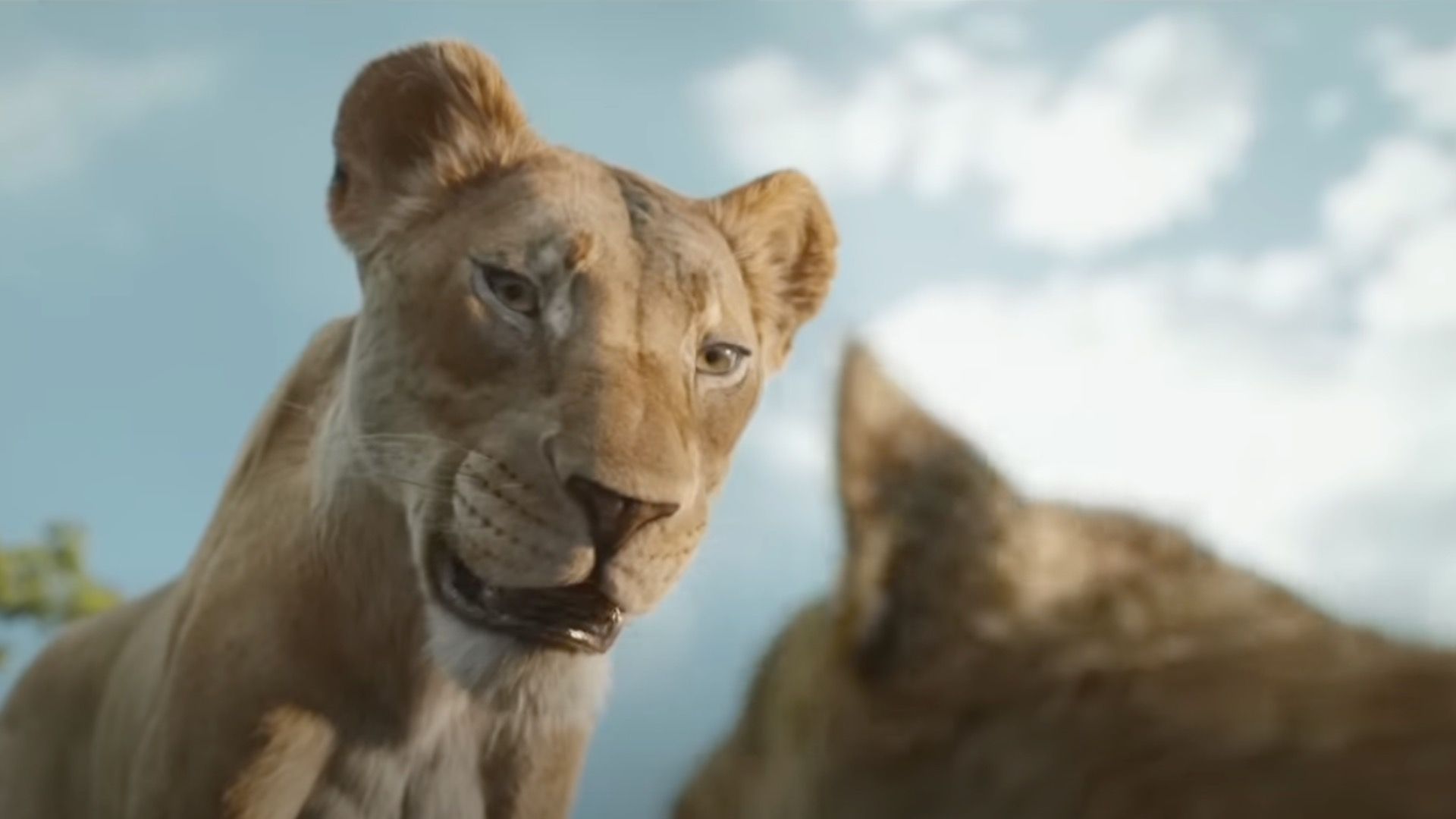 Who is Braelyn in Mufasa: The Lion King?  [Image via YouTube/DisneyMusicVEVO)