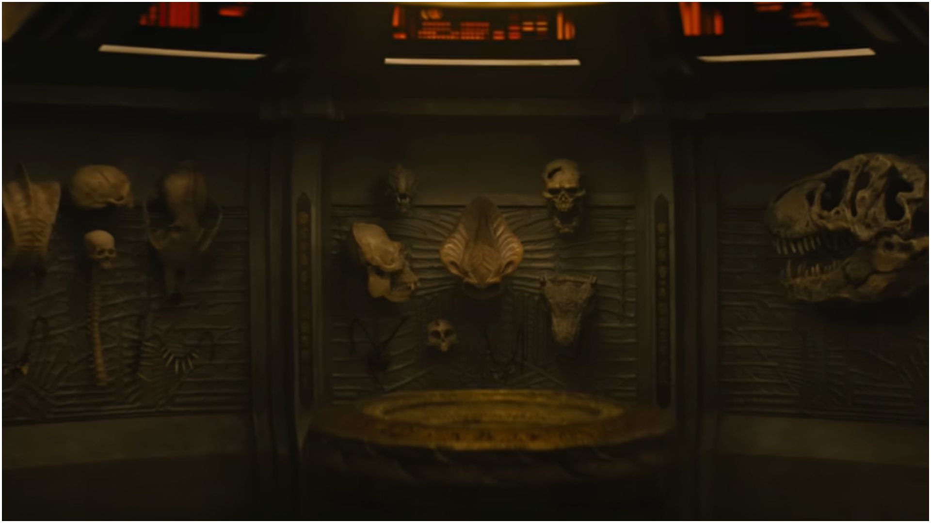 A still from Predator Badlands | Image via 20th Century Studios YouTube