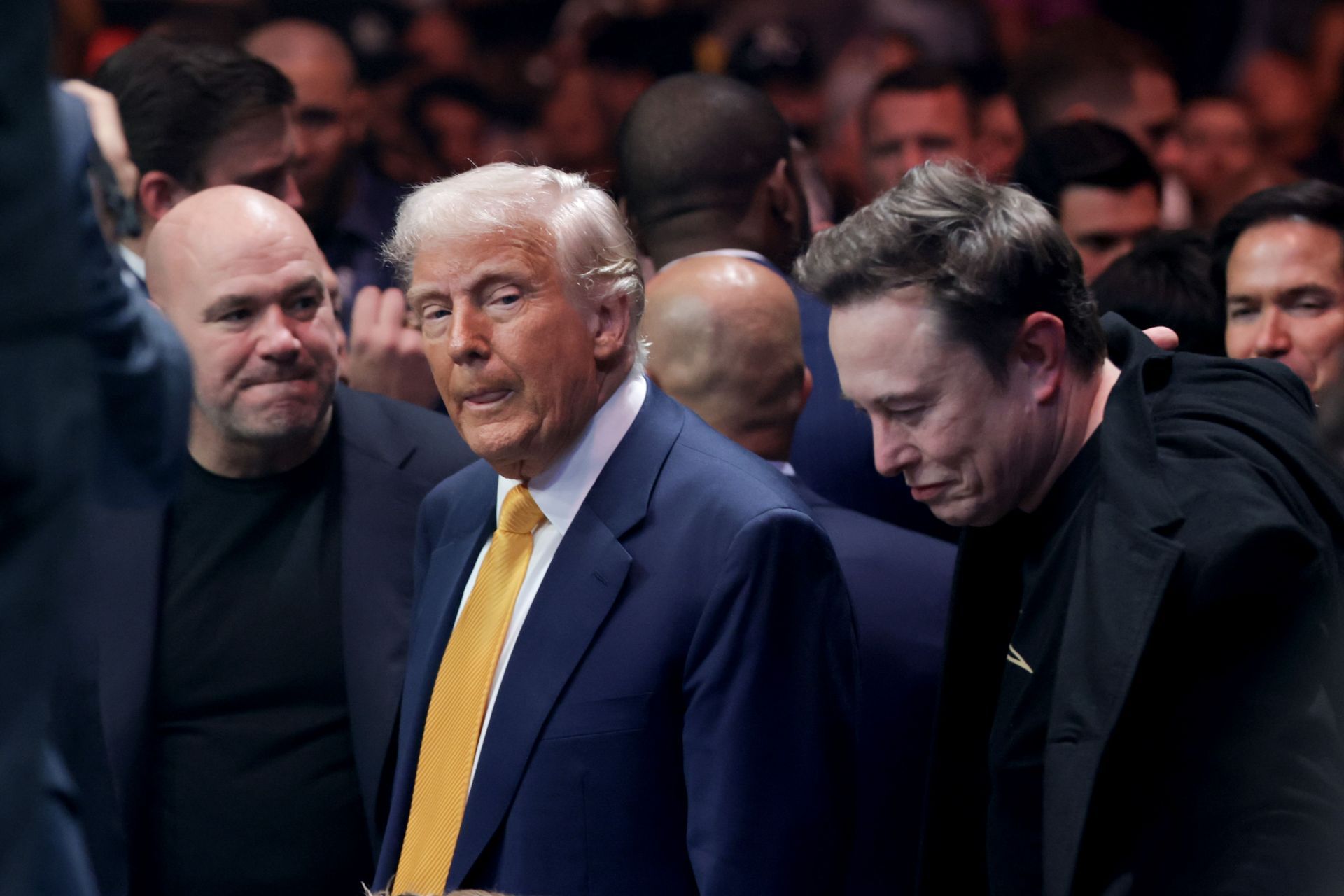 President Trump Attends UFC Title Fight - Source: Getty