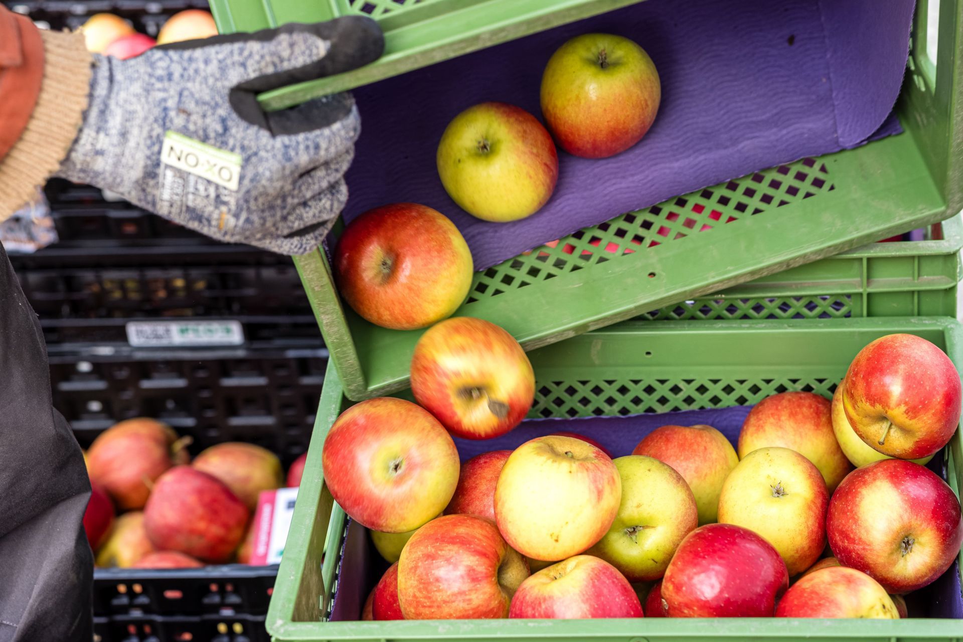 Regional products at the weekly market - Source: Getty