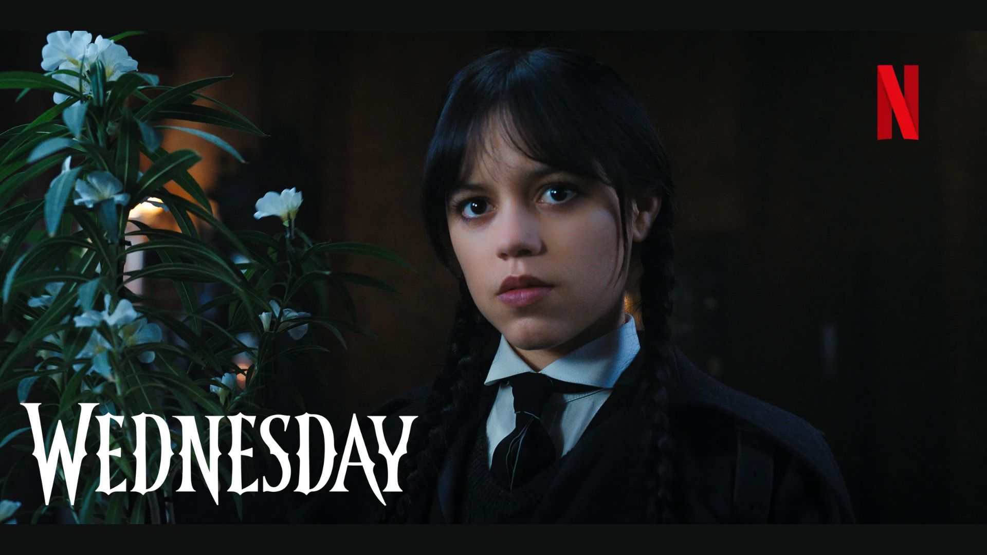 Promotional poster for Wednesday | Image via Netflix