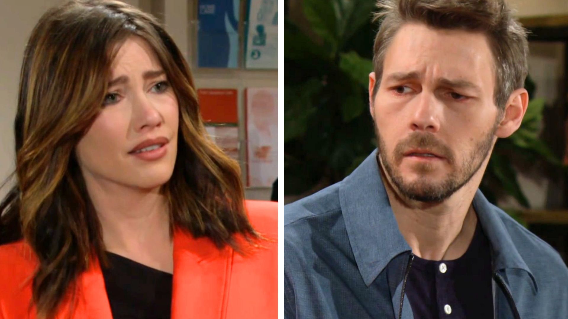The Bold and the Beautiful
