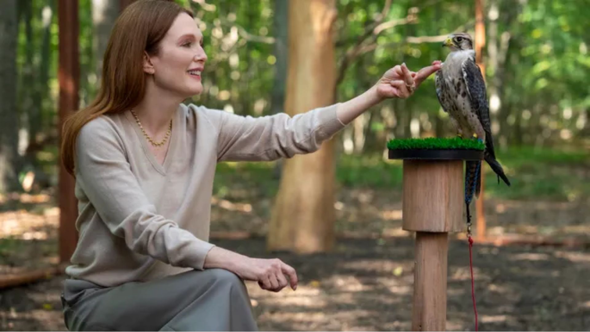 Julianne Moore in Sirens (Image via Netflix)