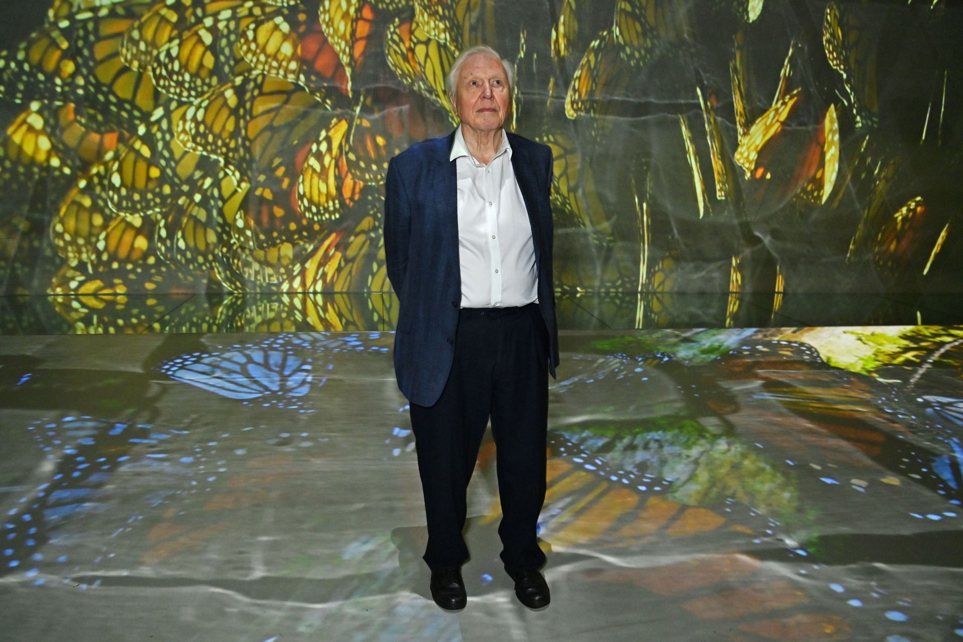 BBC Studios Global Launch Of &quot;Planet Earth III&quot; At Frameless - Source: Getty