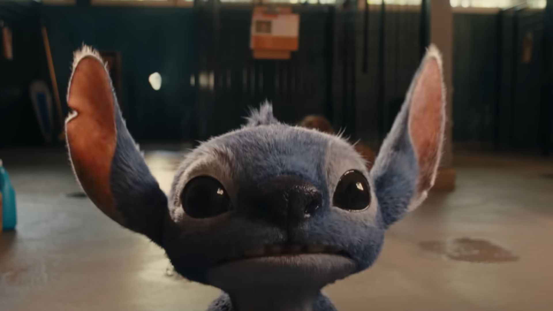 Stitch as seen in the live action movie