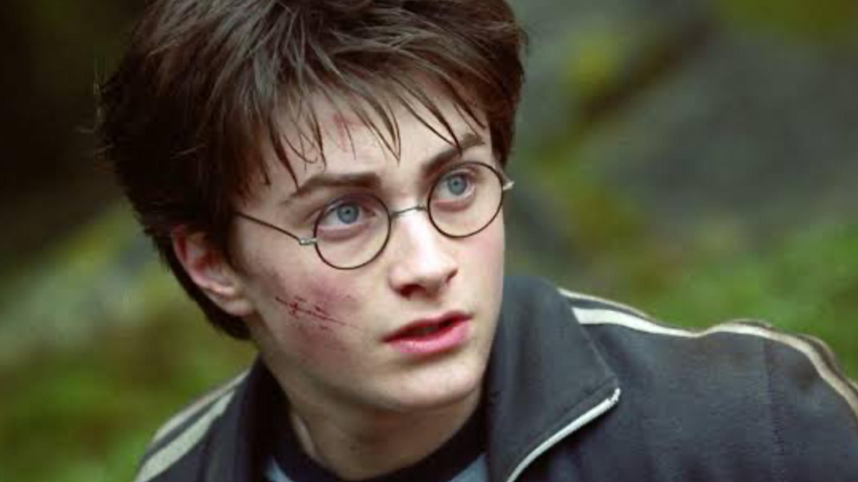 Harry Potter Series | Image Source: Warner Bros. Pictures