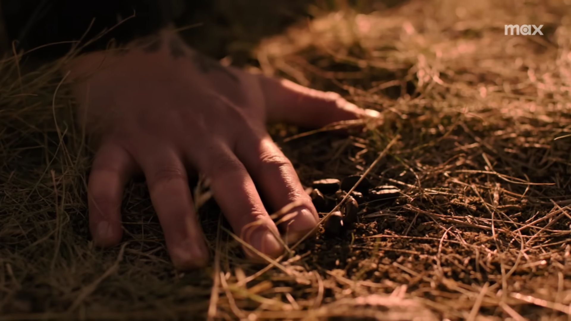 The Coffee Beans On Joel&rsquo;s Grave in The Last of Us Season 2 Episode 3 | Image Source: Max YouTube Channel