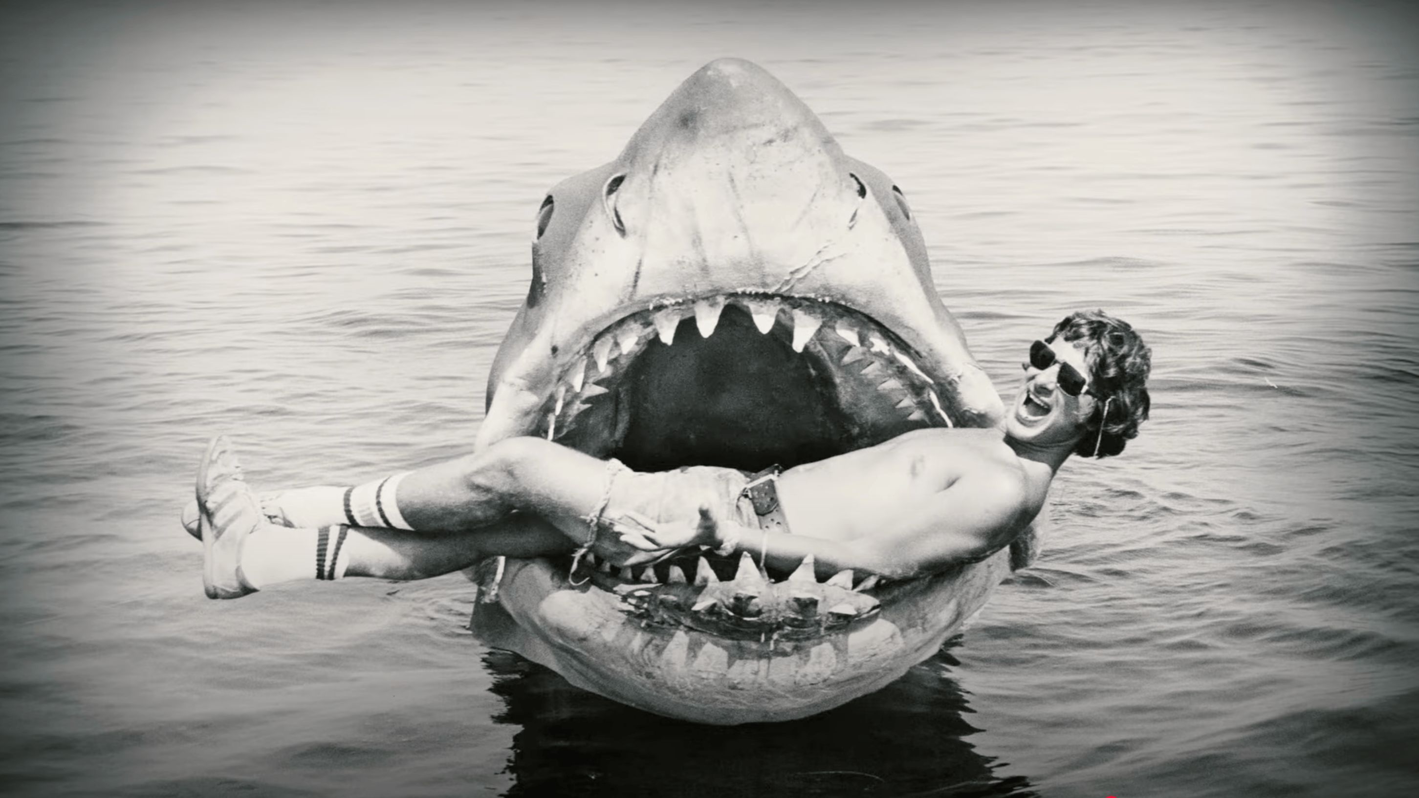 A still from the Jaws @ 50 documentary (Image via YouTube/National Geographic)  