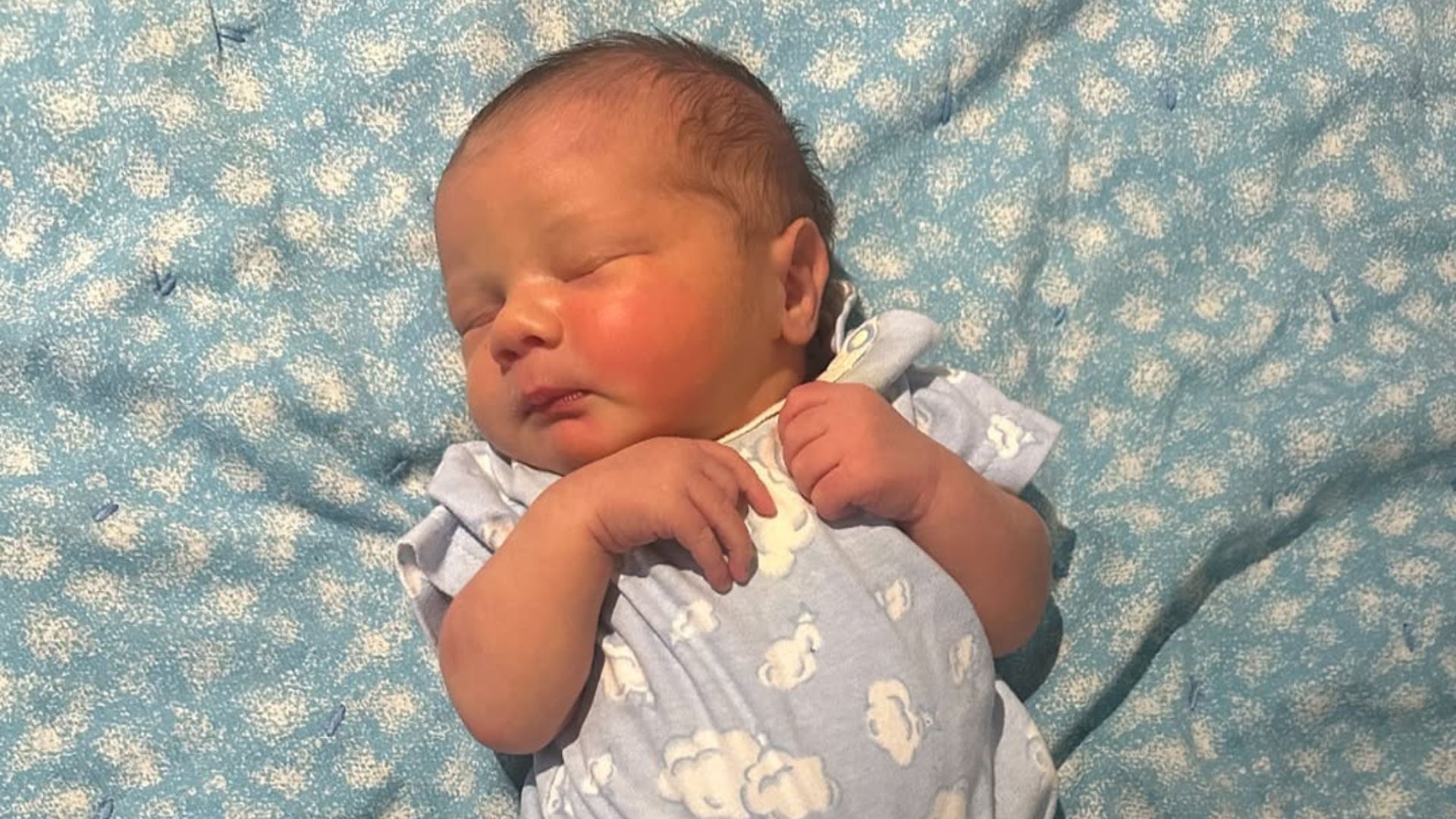 Carter Lee Wayne Halterman, Amanda