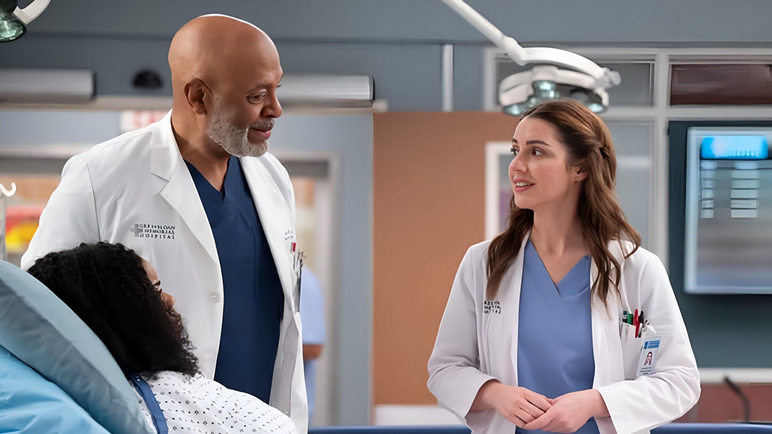 Grey&rsquo;s Anatomy ( Image via Instagram / @greysabc )