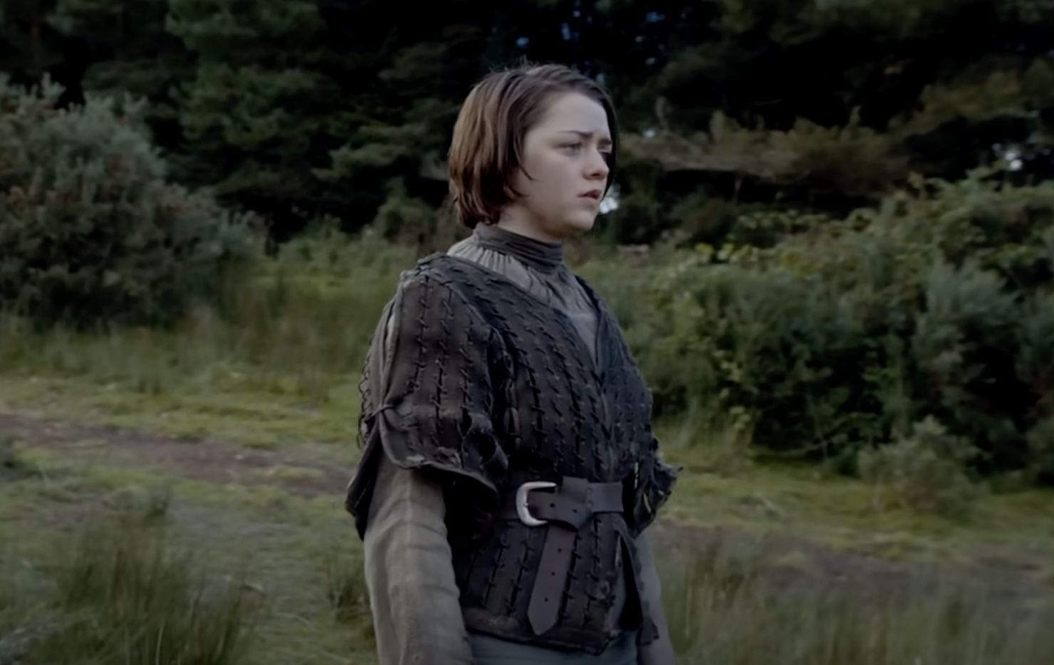 Here are the 5 reasons that made me believe Arya Stark is actually Westeros