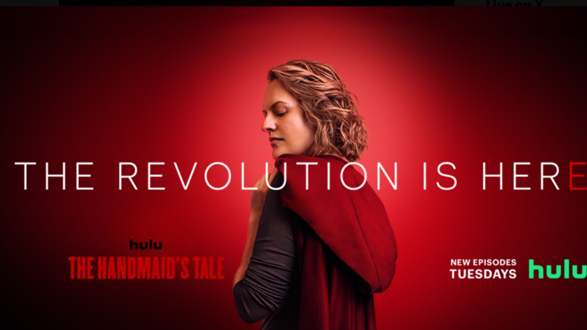 The Handmaid