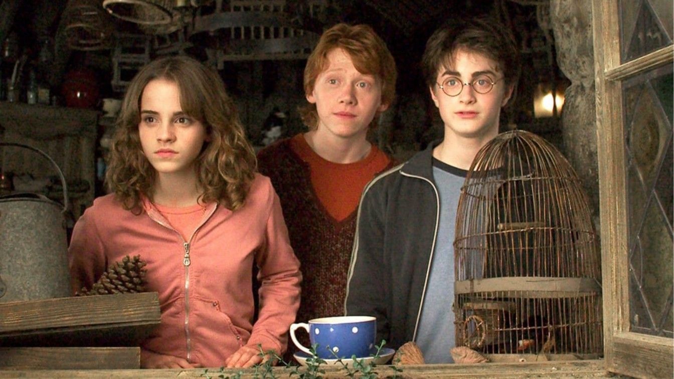 Harry Potter TV series