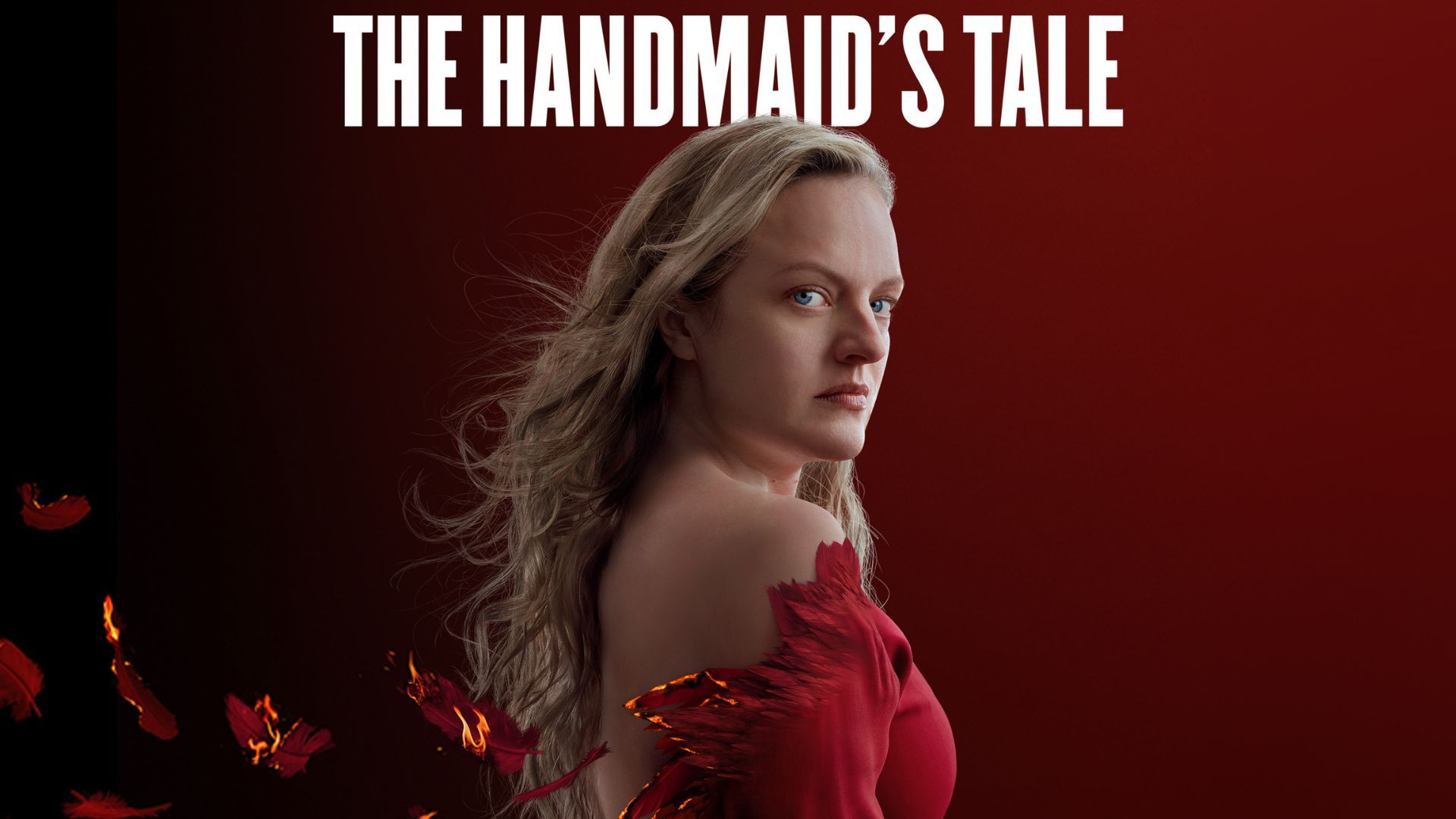 The Handmaid&rsquo;s Tale
