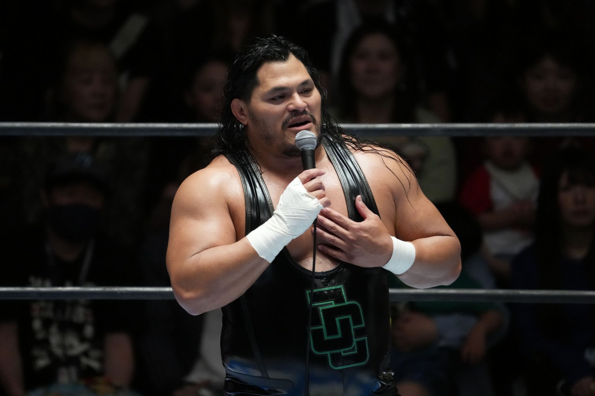 New Japan Pro-Wrestling - Source: Getty