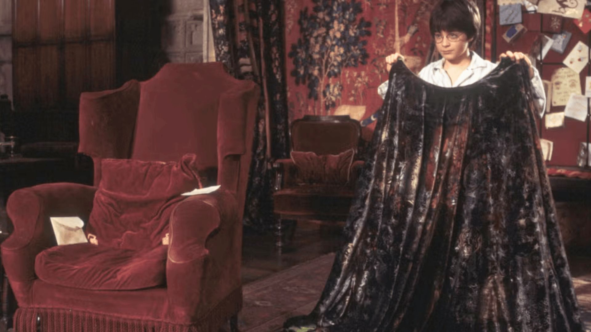 Harry Potter holding the Cloak of Invisibility }Image via: Max
