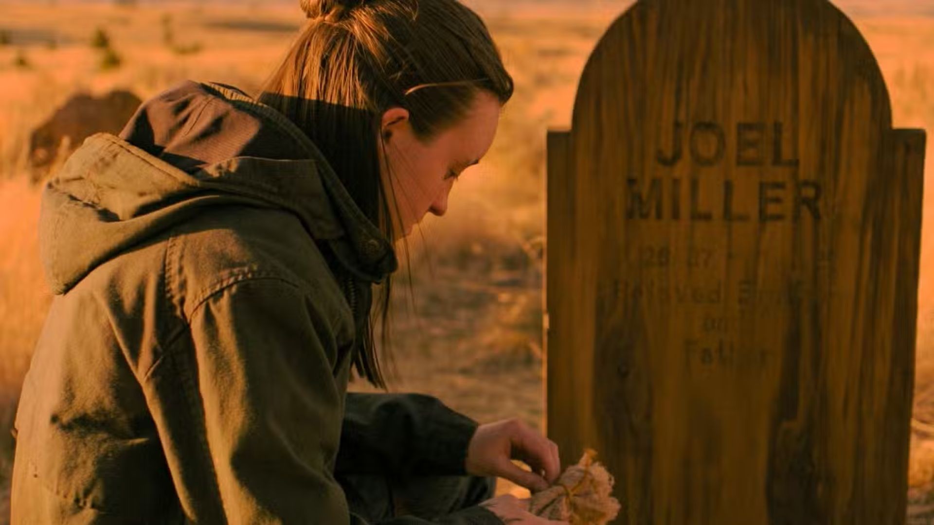 Ellie visiting Joel