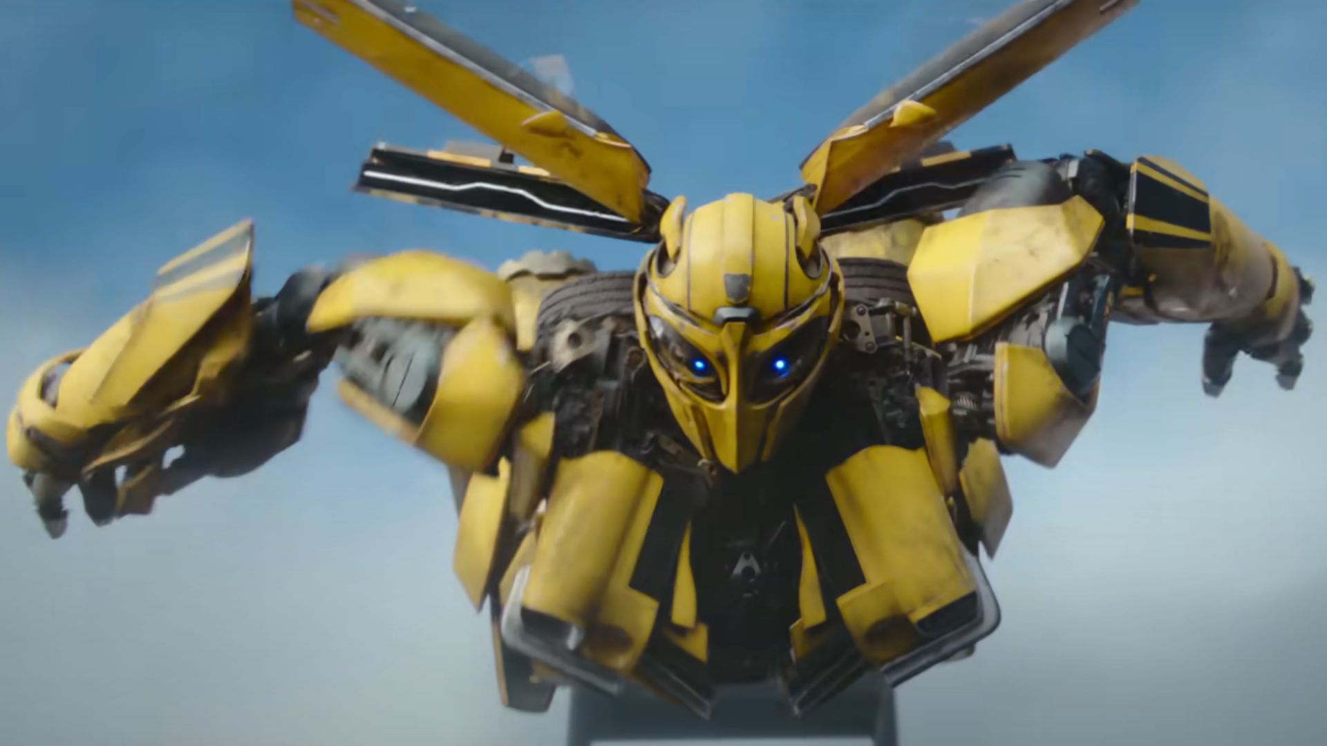 Bumblebee is seen flying