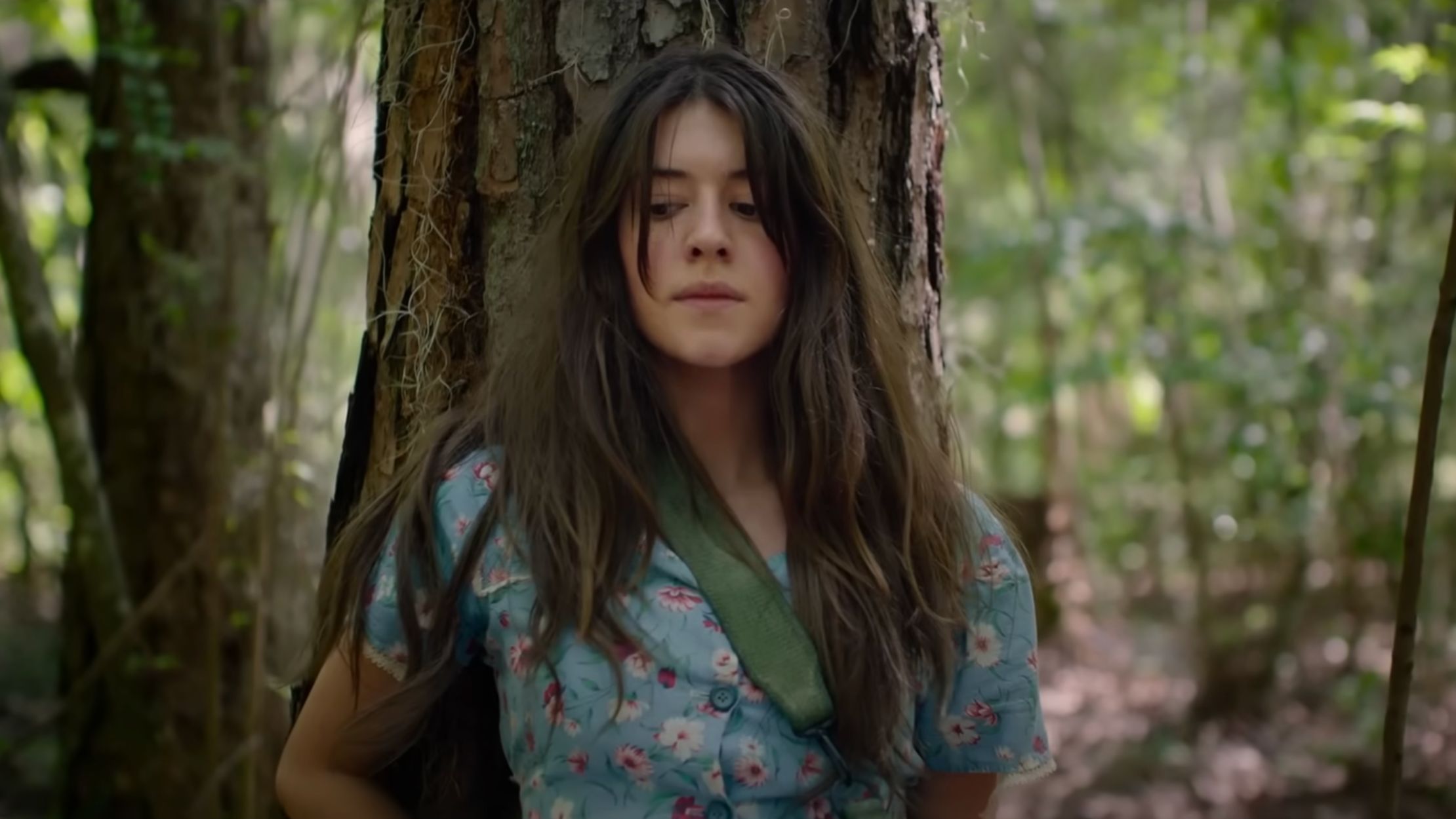 A still from Where The Crawdads Sing (Image via YouTube/@sonypictures)