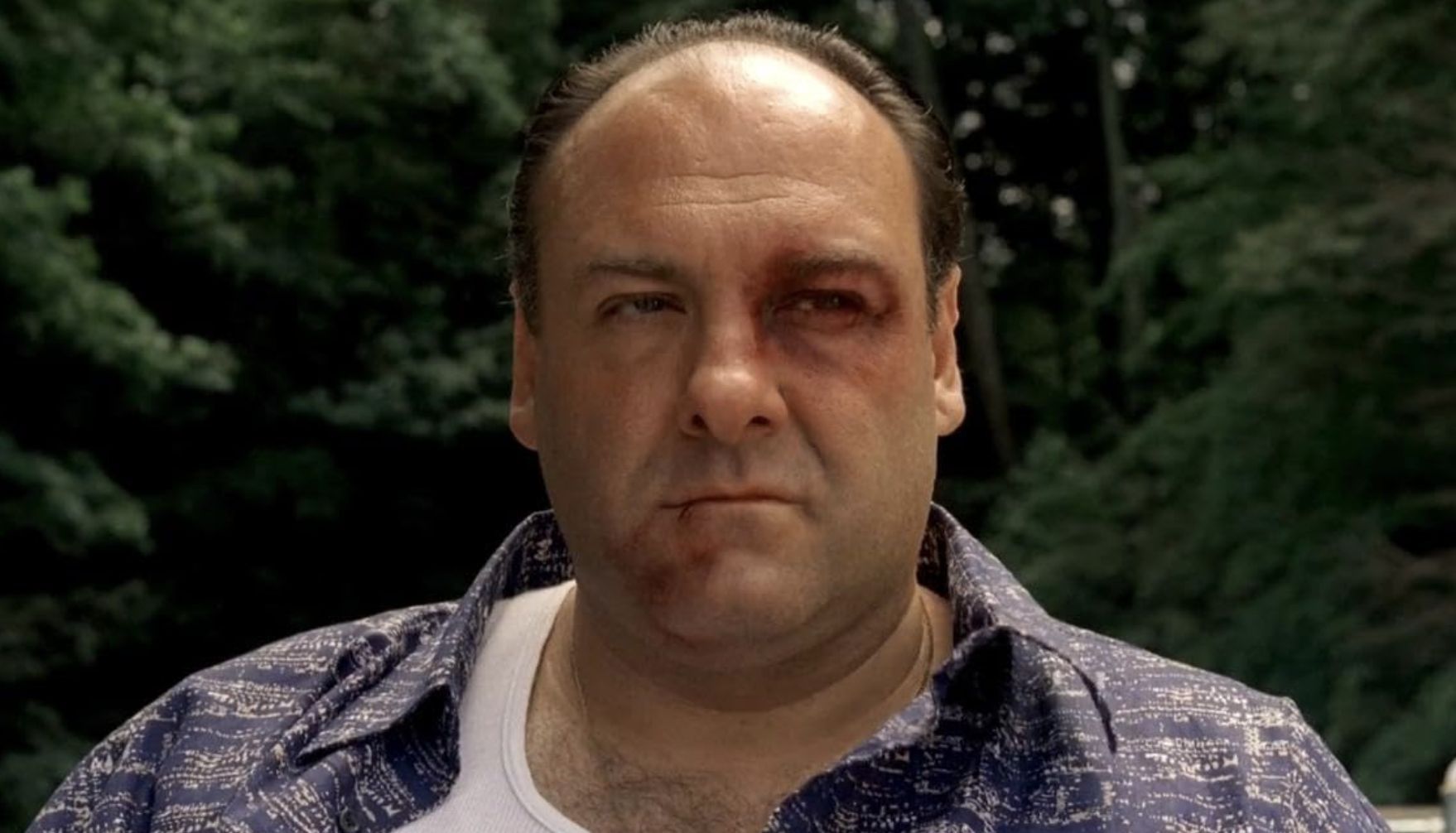 The Sopranos (Image sourced from HBO)