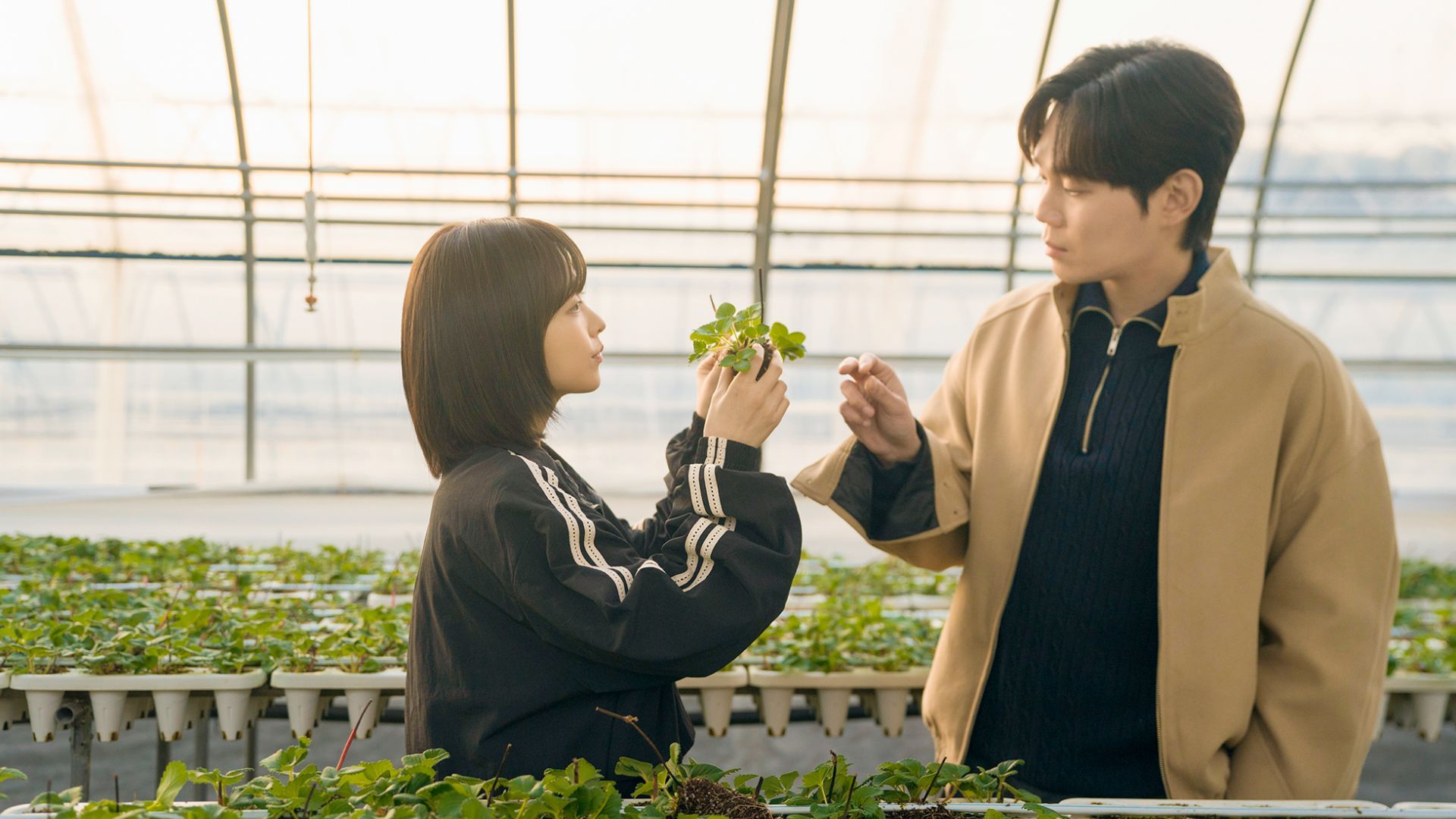 Scene from Our Unwritten Seoul | Image via: Netflix