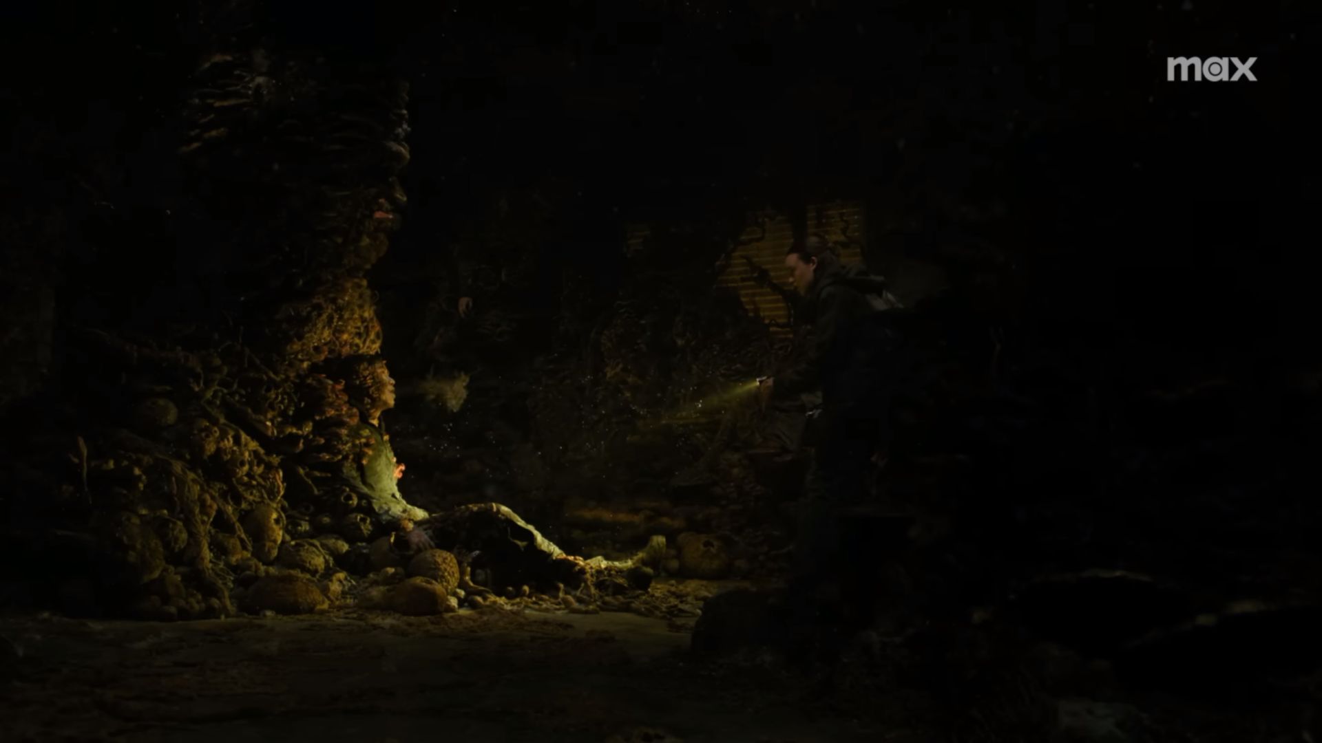 Ellie encountering an infected person in The Last of Us Season 2 | Image Source: Max YouTube Channel