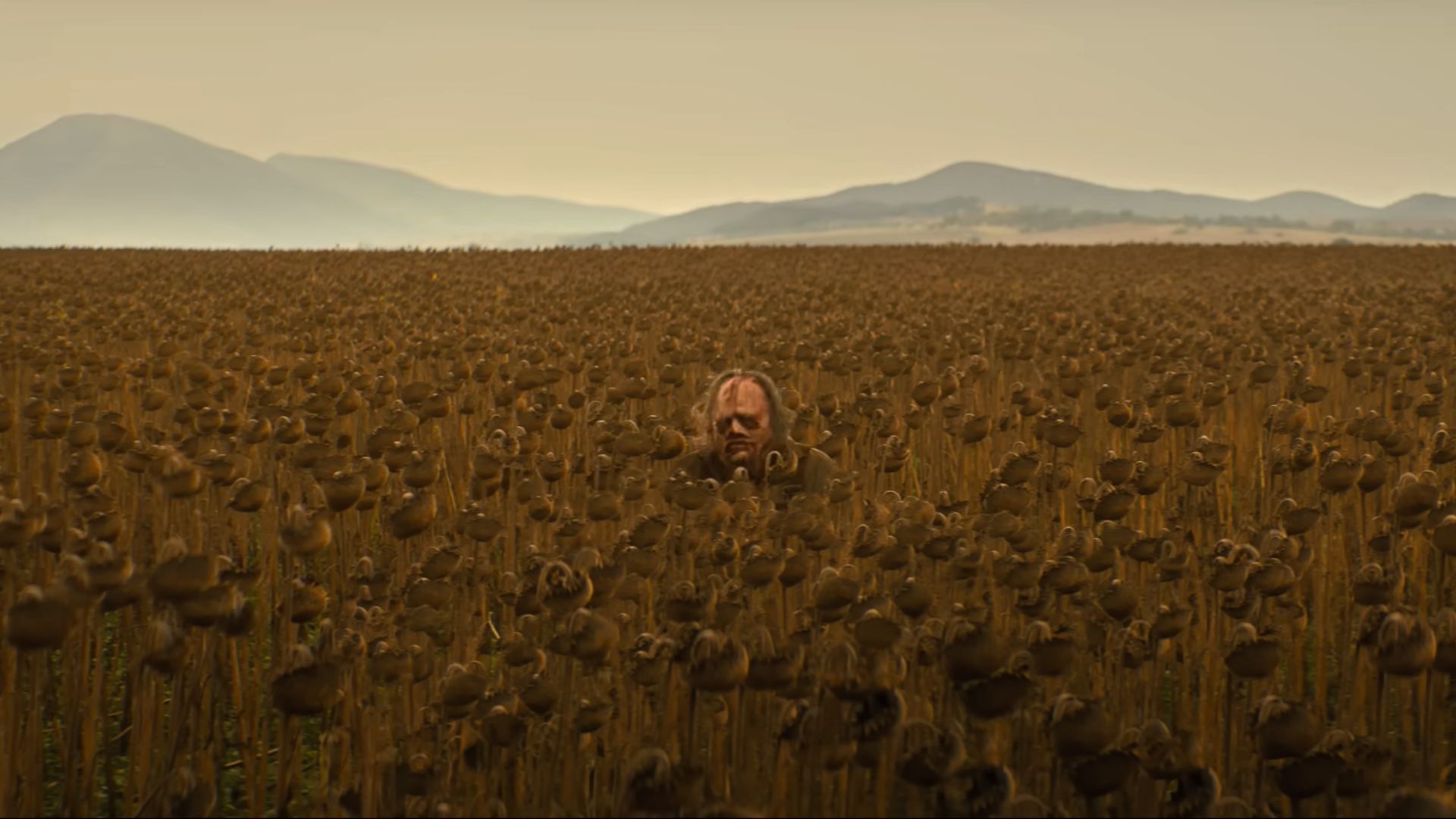 Leatherface sneaking from a field