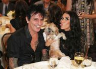 2017 Streamy Awards - Inside - Source: Getty