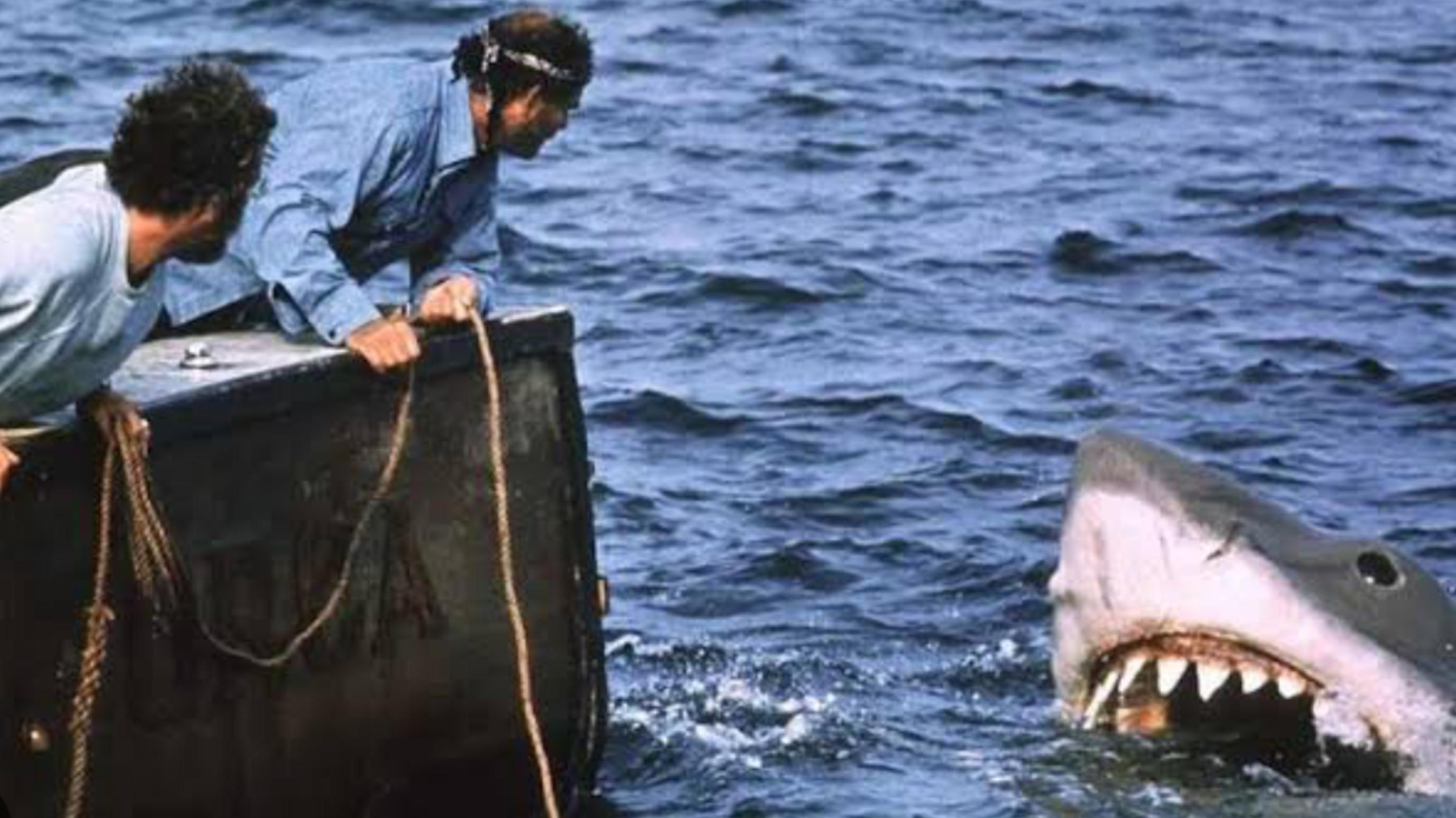 Jaws (1975) | Image via: Universal Pictures