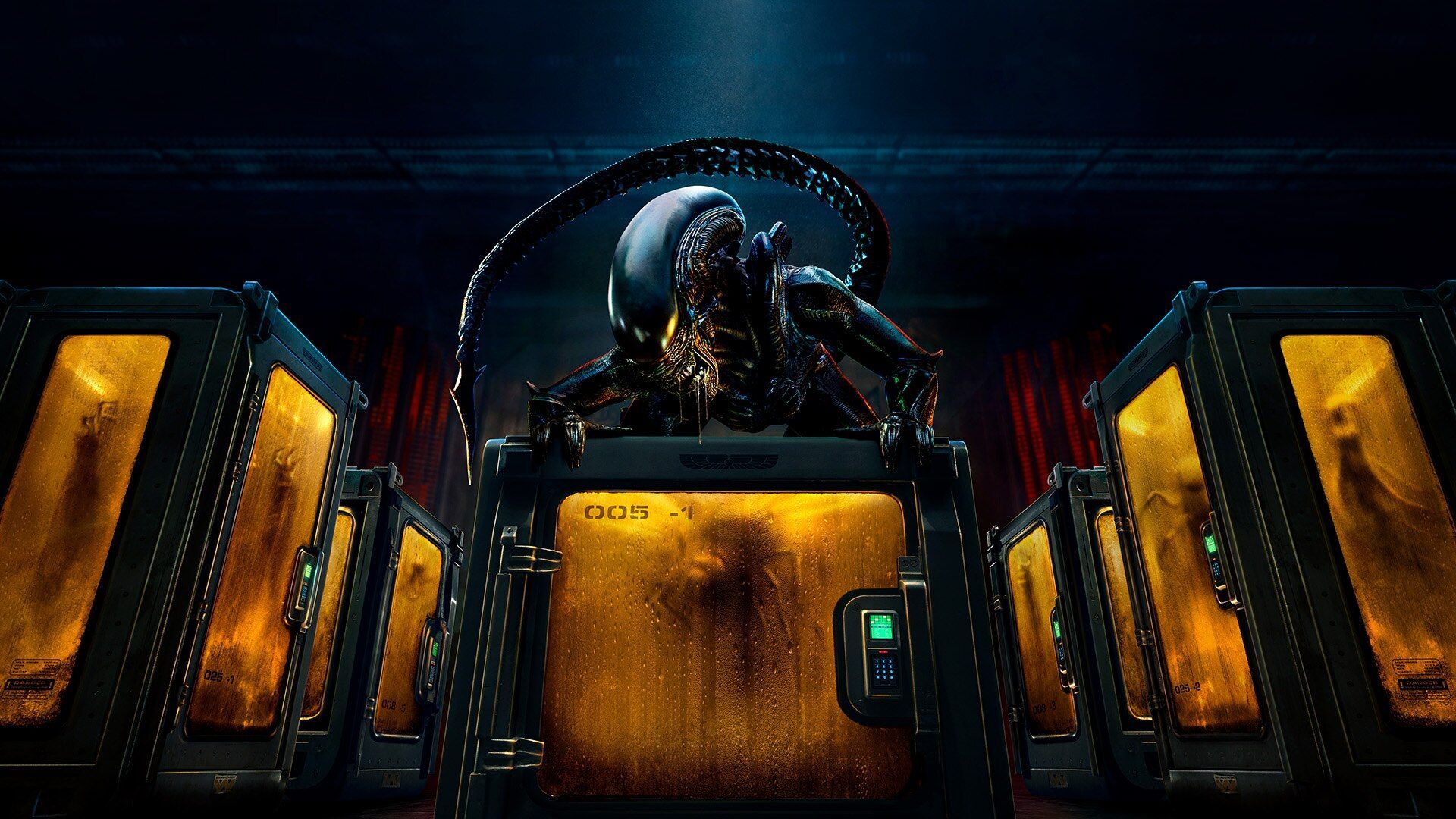 FX