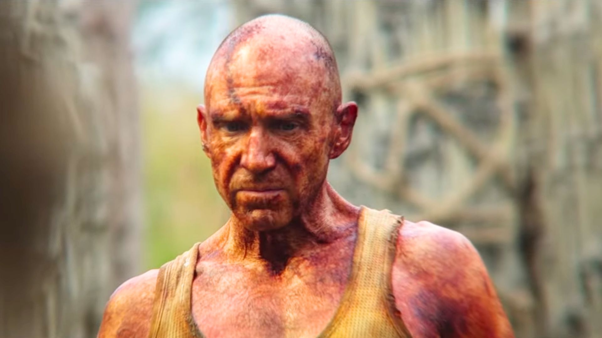 Ralph Fiennes in 28 Years Later | Image via Columbia Pictures