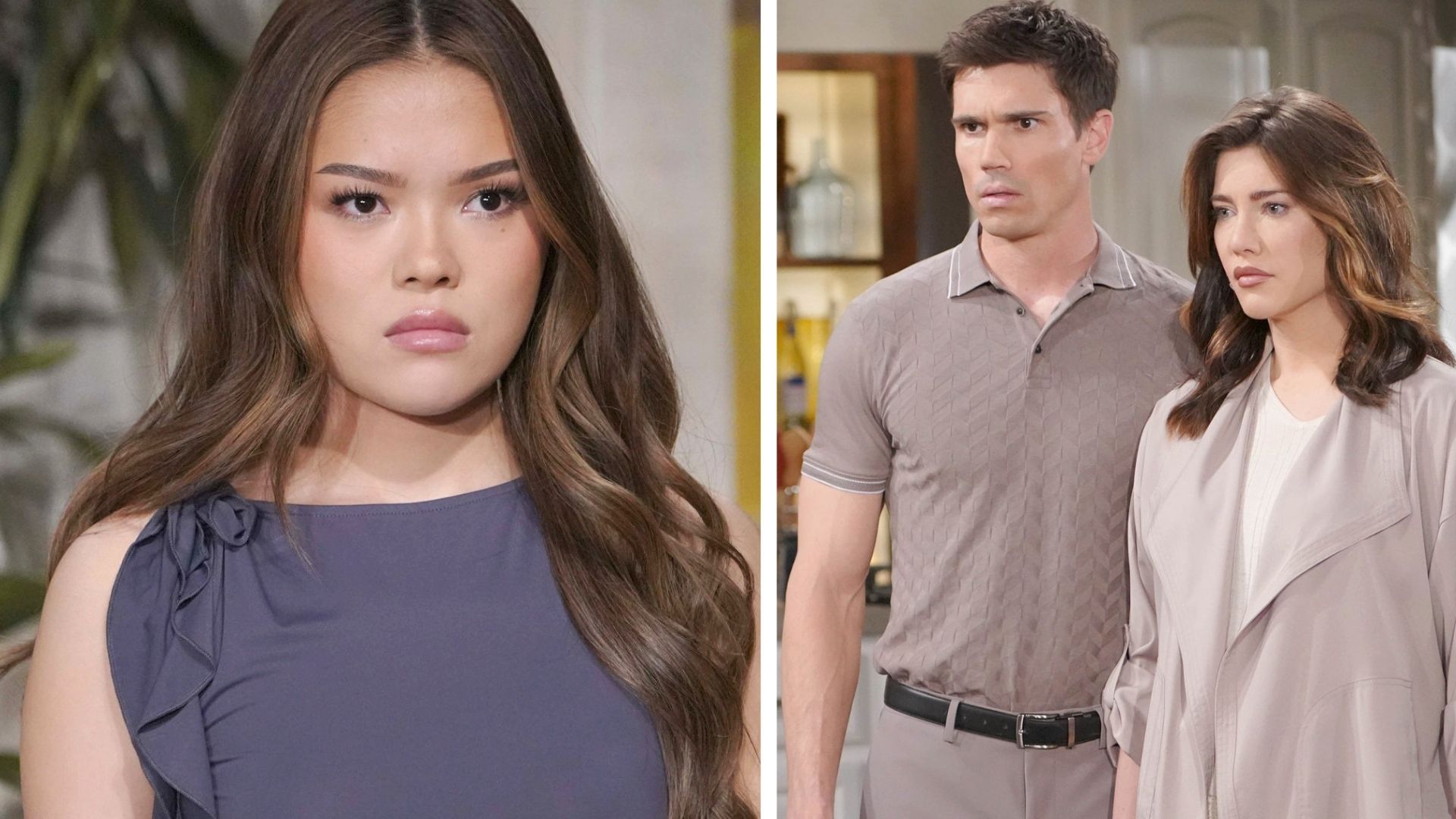 The Bold and the Beautiful