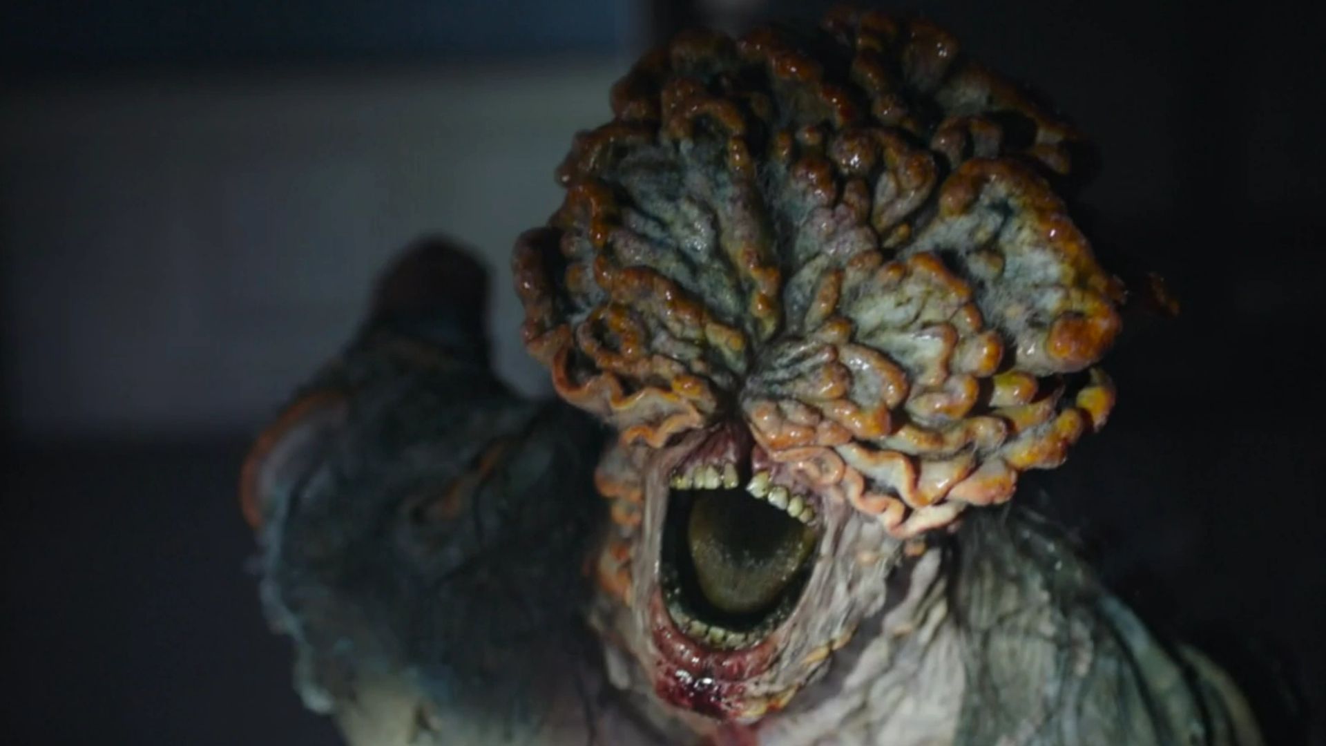 A still from The Last of Us (Image via Hotstar)