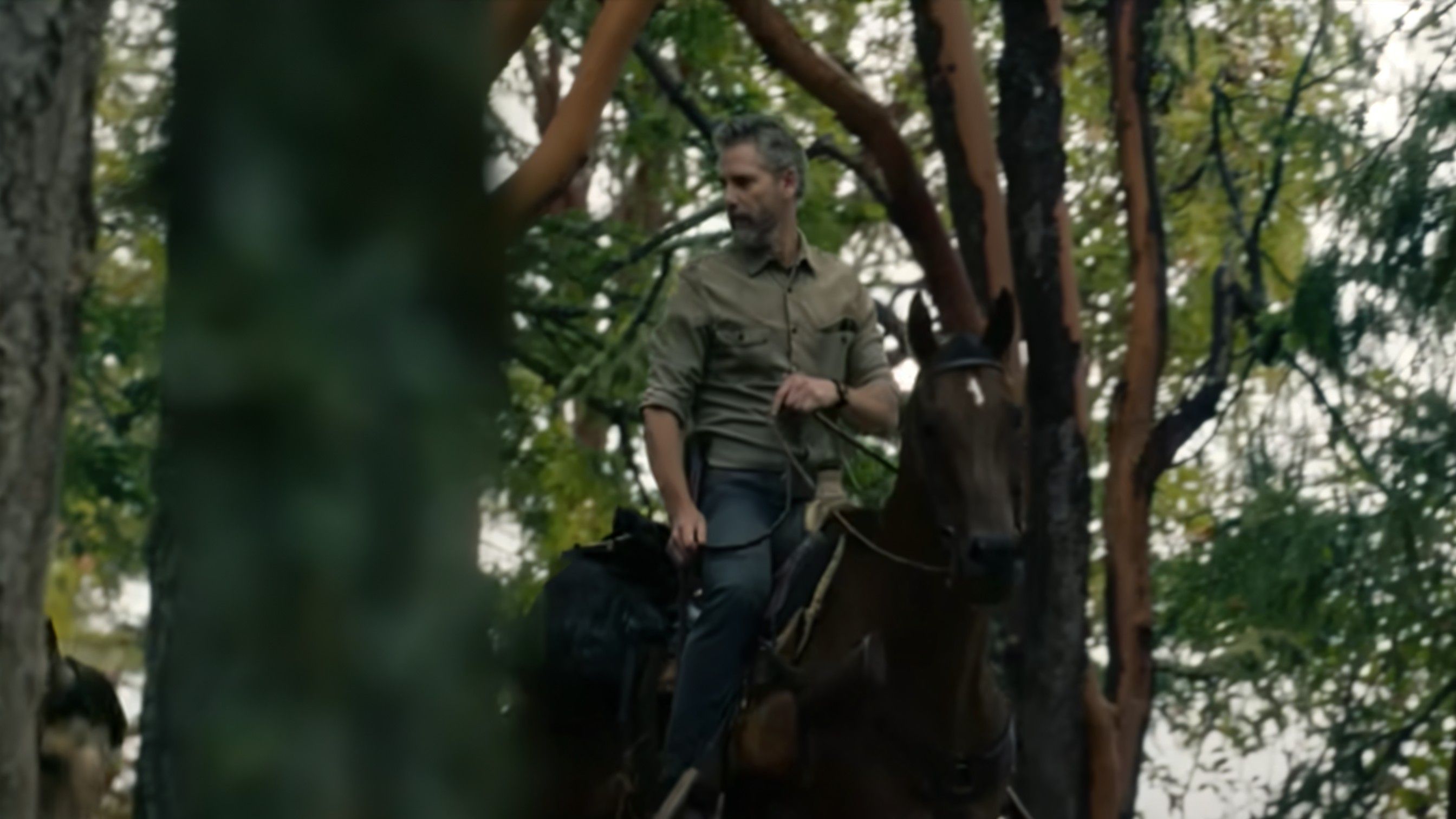 Untamed ( Image via YouTube / Netflix )
