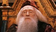 Albus Dumbledore in Harry Potter and the Philosopher's Stone | Image via Hotstar