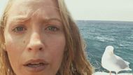 "The Seagull Companion ('Steven Seagull')" from The Shallows, Image Source - Columbia Pictures