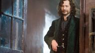 Gary Oldman as Sirius Black | Image via Hotstar