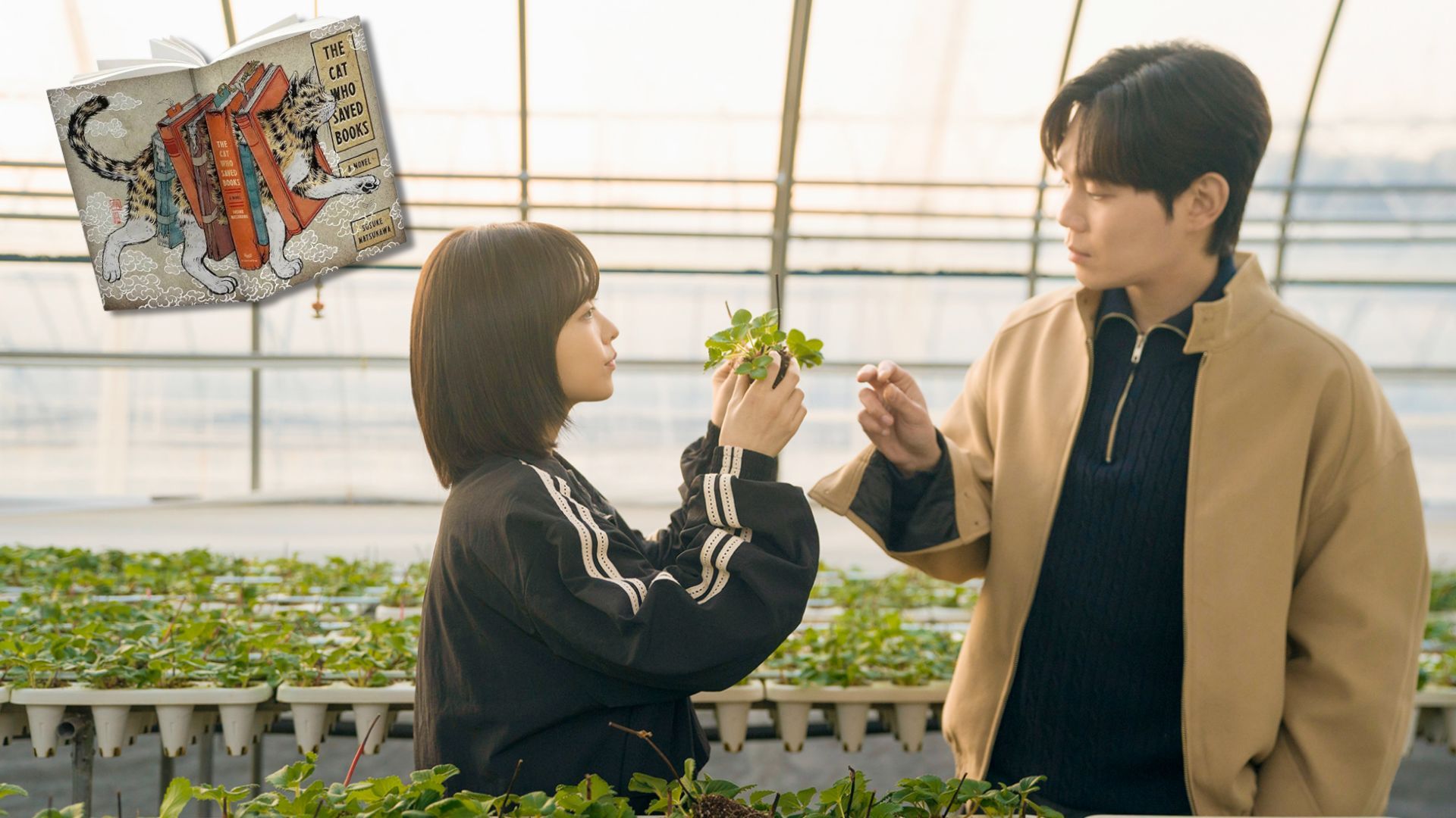The rise of healing K-dramas: why series like Our Unwritten Seoul feel like emotional first aid
