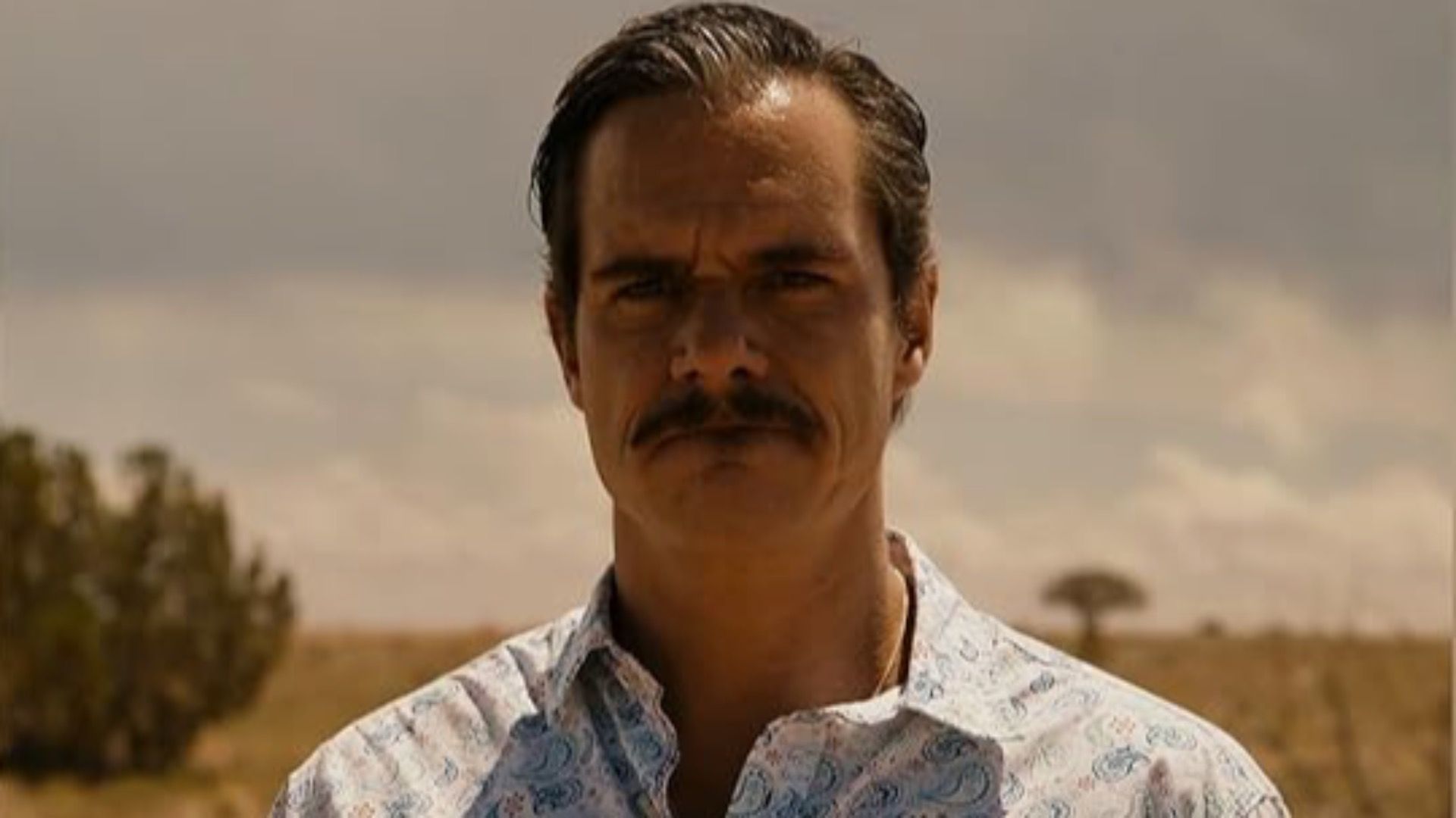 Better Call Saul