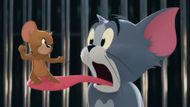 Tom in Tom & Jerry (2021) | Image via Prime Video