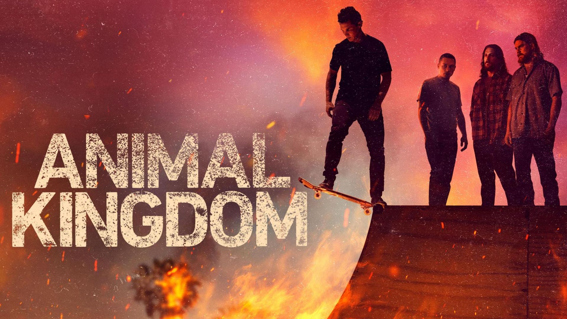Promotional poster for Animal Kingdom | Image via Netflix
