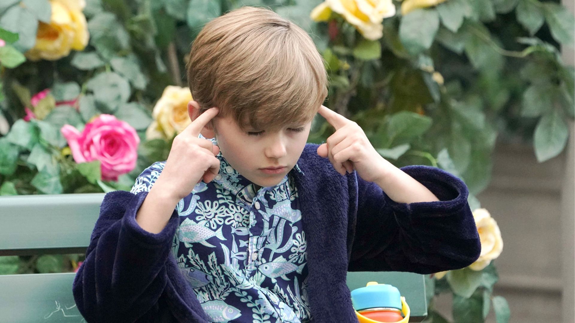 Maybe Harrison (Redding Munsell) is learning Italian by telepathy on The Young and the Restless | Image: JPI