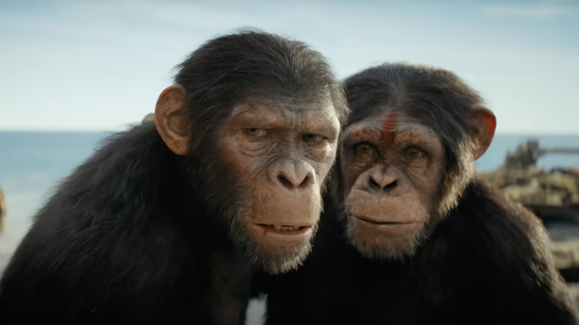 The film was released last year. (Image via YouTube/20th Century Studios)
