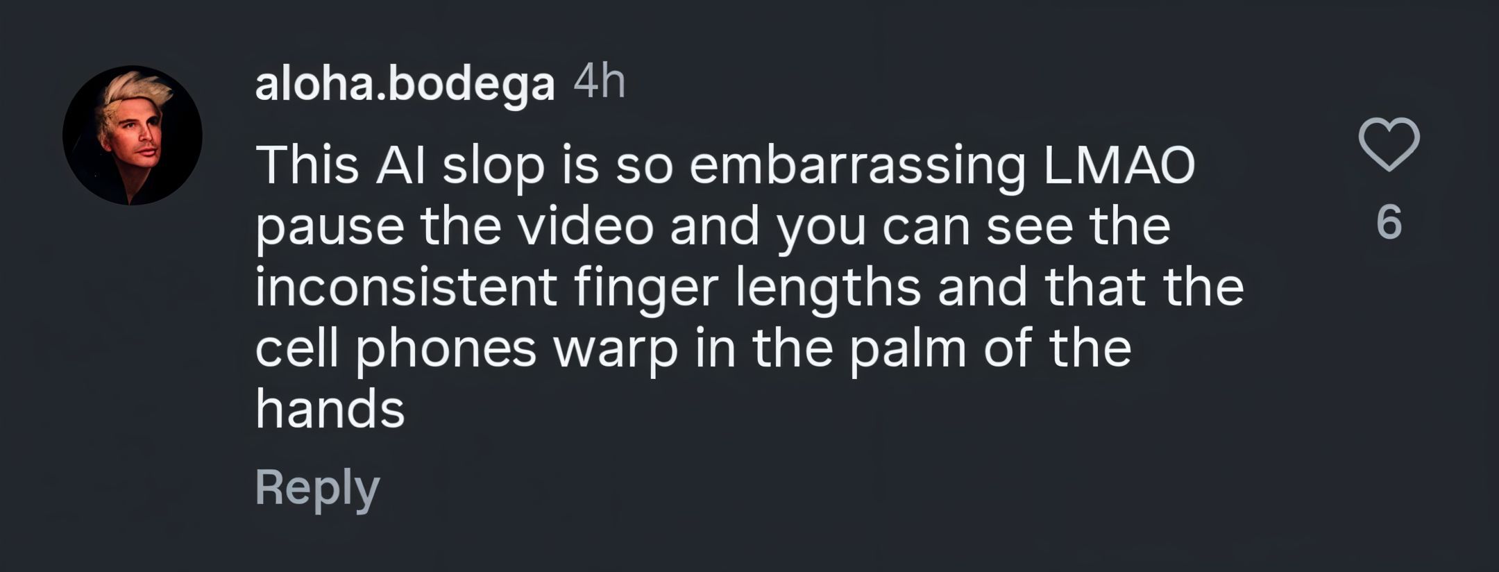 A user calls the use of AI &quot;embarrassing&quot; (image via @aloha.bodega on Instagram)