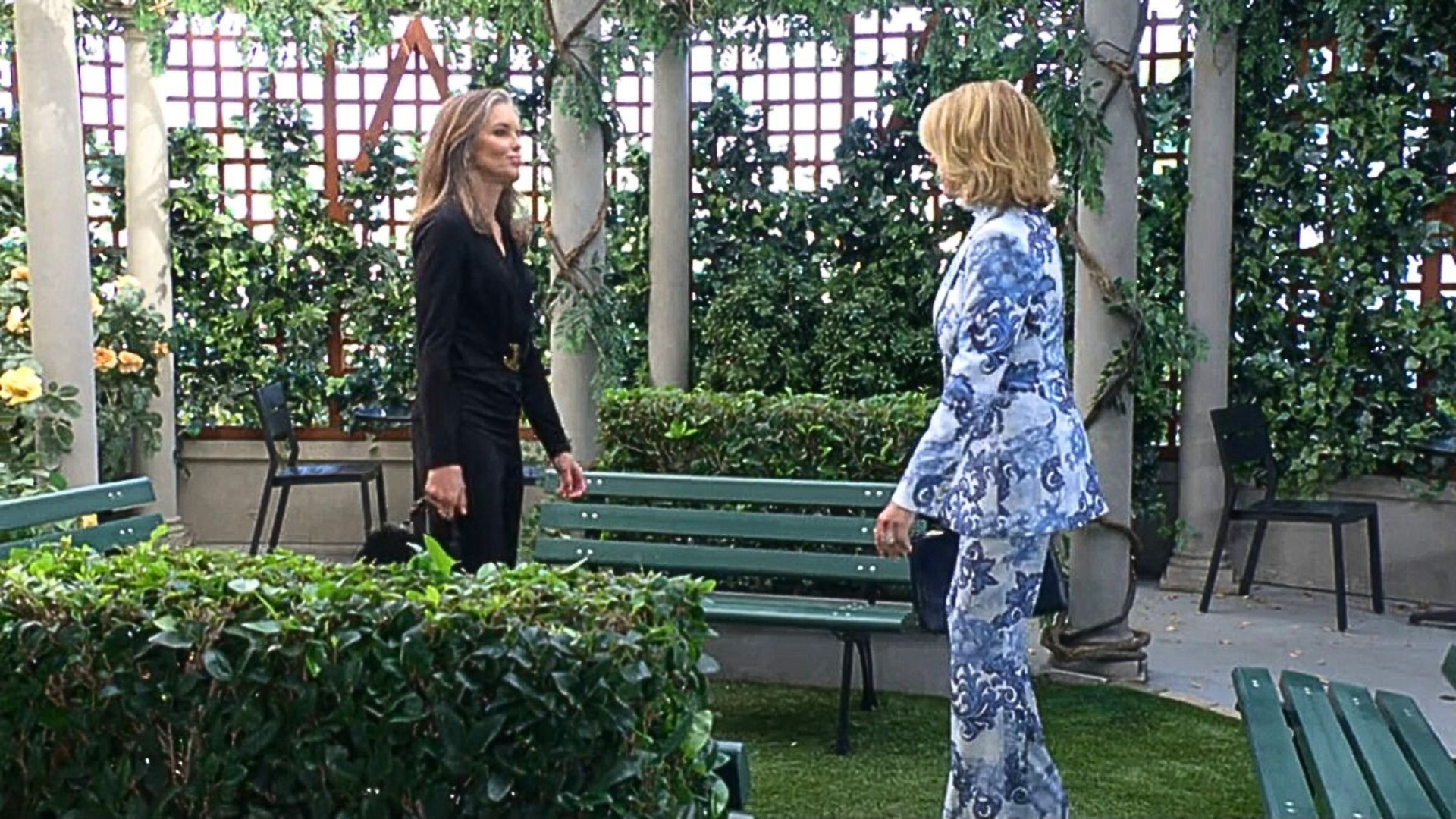 Diane and Nikki discussed Claire and Kyle in the park on The Young and the Restless | Image: CBS
