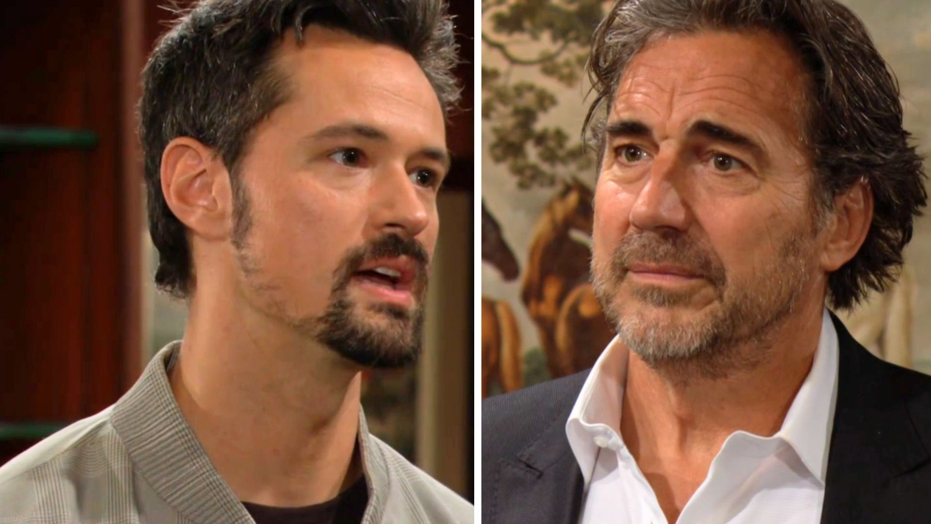The Bold and the Beautiful