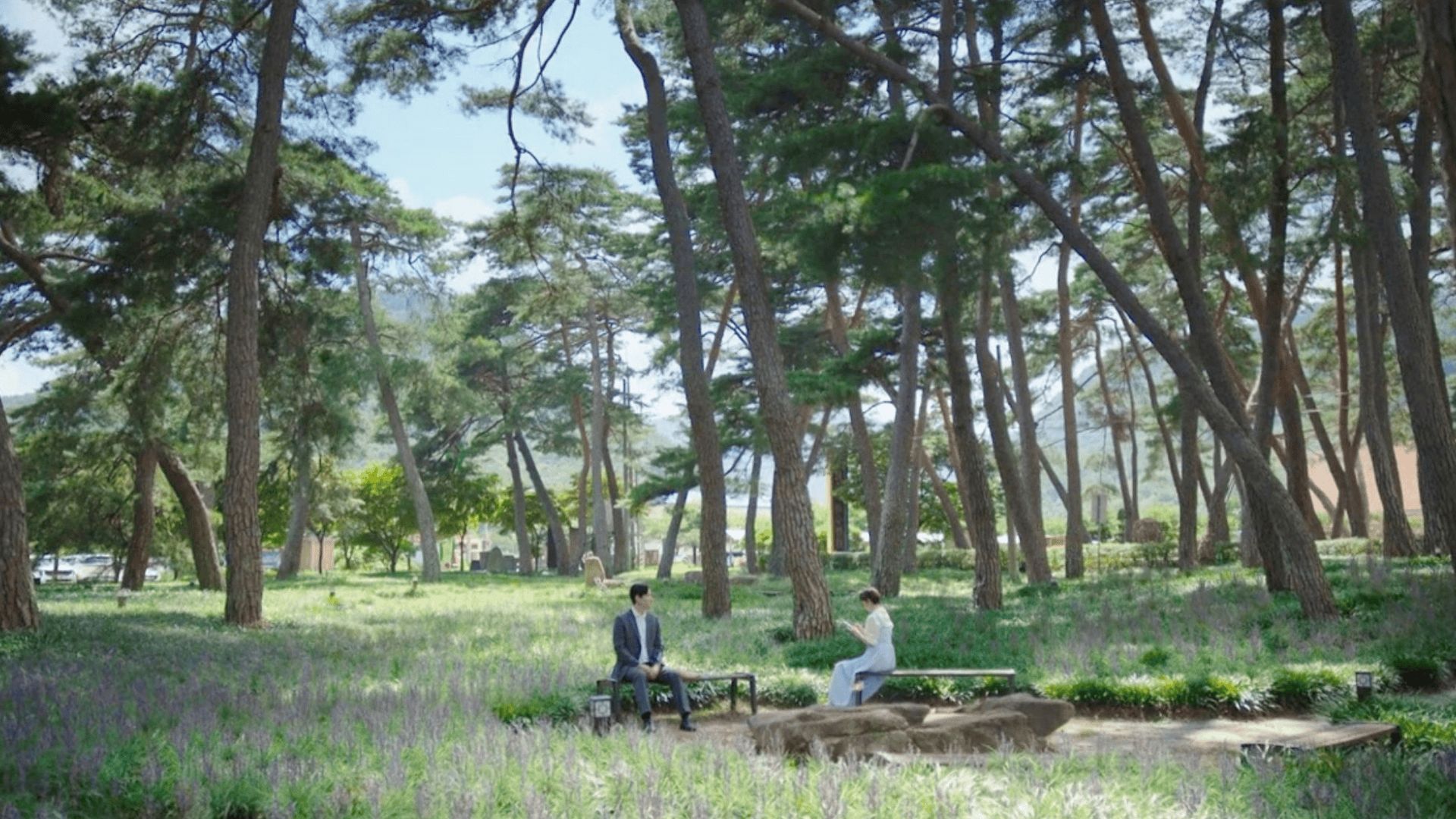 Scene from Love, Take Two | Image via: Viki