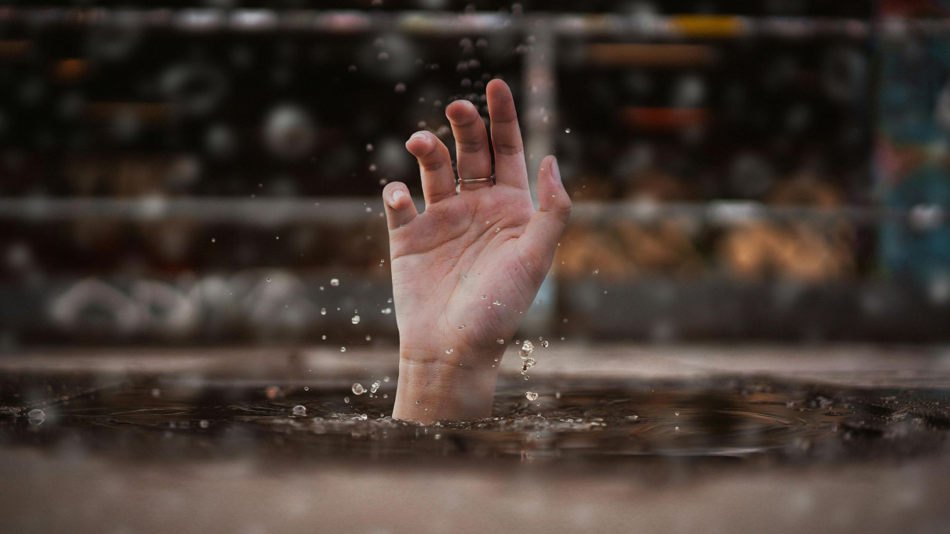 Representational image for Dateline: Unforgettable (Image via Pexels/ Luca Nardone)