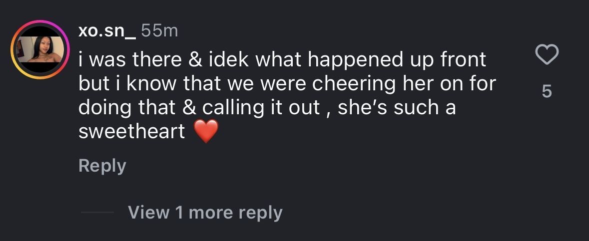 The comment section under The Shade Room&#039;s post, where the South African singer stopped mid-performance to check up on a fan. (Image via Instagram/@theshaderoom.)